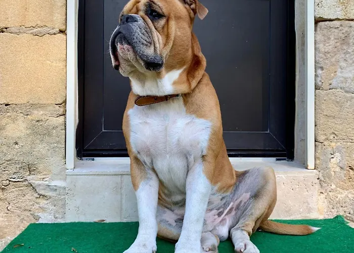 拉巴里尔-洛特酒店 住宿加早餐酒店 4*