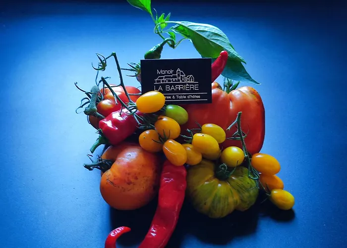 拉巴里尔-洛特酒店 4*