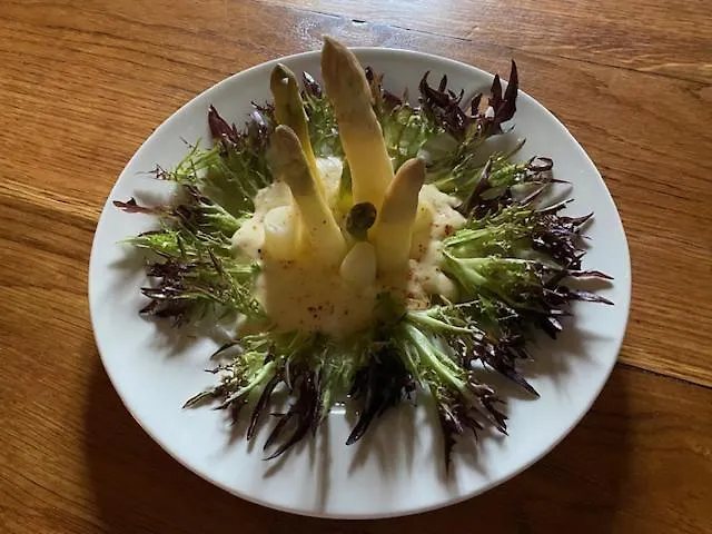 Frühstückspension Manoir La Barriere - Lot